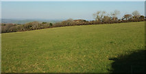 SX7063 : Pasture near Dockwell Farm by Derek Harper