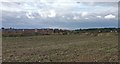 Farmland next to Hurcott Lane