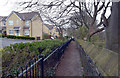 Path running alongside Dunbottle Way, Mirfield