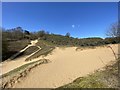 SS8677 : Merthyr Mawr sand dunes by Alan Hughes