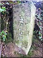 Old Boundary Marker