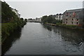 M2925 : River Corrib by N Chadwick