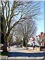 Himley Crescent in Goldthorn Park, Wolverhampton