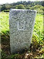 Old Boundary Marker