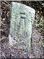 Old Boundary Marker