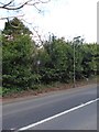 Bus stop in Grayswood Road