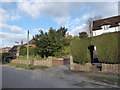 Telegraph pole in Beech Road