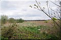 Undeveloped Land and Harrowed field