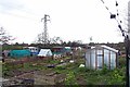 Allotments Near Blackshots