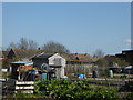 Allotments on Colegates Road, Oare