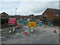 Part of Newton Drive is closed for essential electricity works