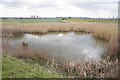 Pond Off Marshfoot Road