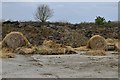 Bush Green: Hard standing used for baled straw