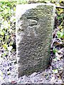 Old Boundary Marker