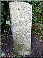 Old Boundary Marker