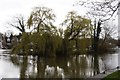 Friday Island near Old Windsor Lock