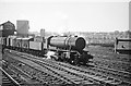 Austerity 2-8-0 at Birkenhead, 1960