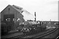 SJ9100 : Locomotives at Stafford Road locomotive depot, Wolverhampton, 1960 by Alan Murray-Rust