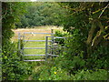 Kissing Gate above Wilton Farm