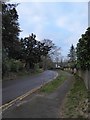 Double yellow lines in Bunch Lane