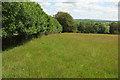 Grass field, North Molton