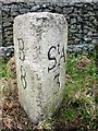 Old Milestone by the A391, south of Stenalees