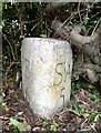 Old Milestone by the A391, north of Bugle