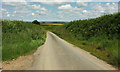 Hacche Lane near South Leigh