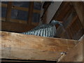 SO3656 : Bird inside Cuckoo Clock at Westonbury Mill Gardens by Fabian Musto