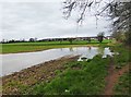 Aftermath of flooding in field (2), Areley Kings, Stourport-on-Severn