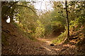 Steps at junction of bridleway and footpaths