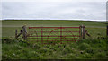 J5480 : Field gate near Bangor by Rossographer