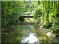 River Colne backwater at Drayton Ford