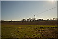 Power lines across farm fields