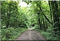 Bridleway near Middleton Manor