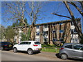 Carlton Court, Horley