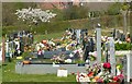 Colours in the cemetery