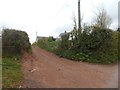 Footpath to Barton Lane, Shillingford Abbot