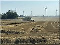 TA3205 : Harvest time by Steve  Fareham