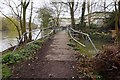 Thames Path towards Staines Bridge