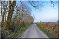 Dunkeswell : Country Lane