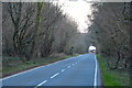 Dunkeswell : Country road