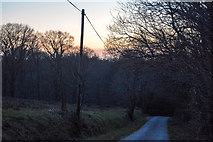 ST1507 : Dunkeswell : Country Lane by Lewis Clarke