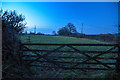 Dunkeswell : Grassy Field & Gate