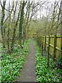 Footpath across the flat valley floor, Hipperholme