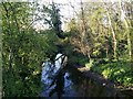 Dollis Brook from Waverley Grove