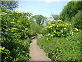 Footbridge at Spade Oak Nature Reserve