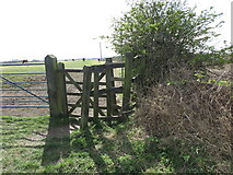 NZ3373 : Gate onto a public footpath near Brier Dene Farm by Geoff Holland