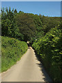 Approaching Hudley Mill Bridge