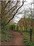SO9095 : Footpath to Goldthorn Park in Wolverhampton by Roger  Kidd